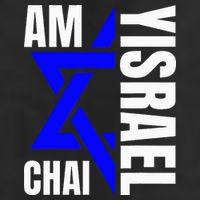 Am Yisrael Chai Israel Star of David 7 Panel Mesh Trucker Snapback Hat