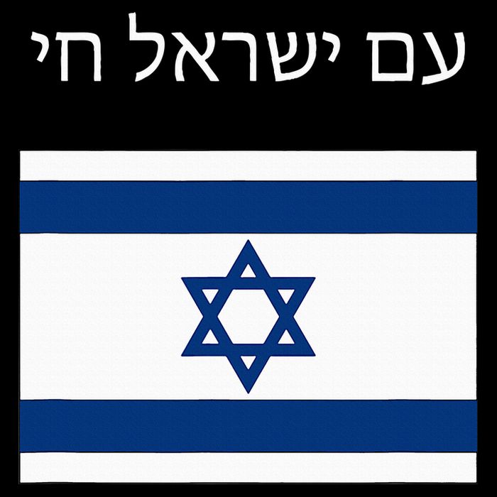 Am Yisrael Chai Hebrew for Israel Lives T-Shirt