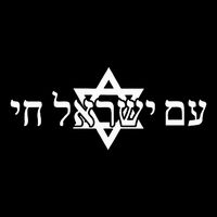 Am Yisrael Chai Star of David us flag 7-Panel Snapback Hat
