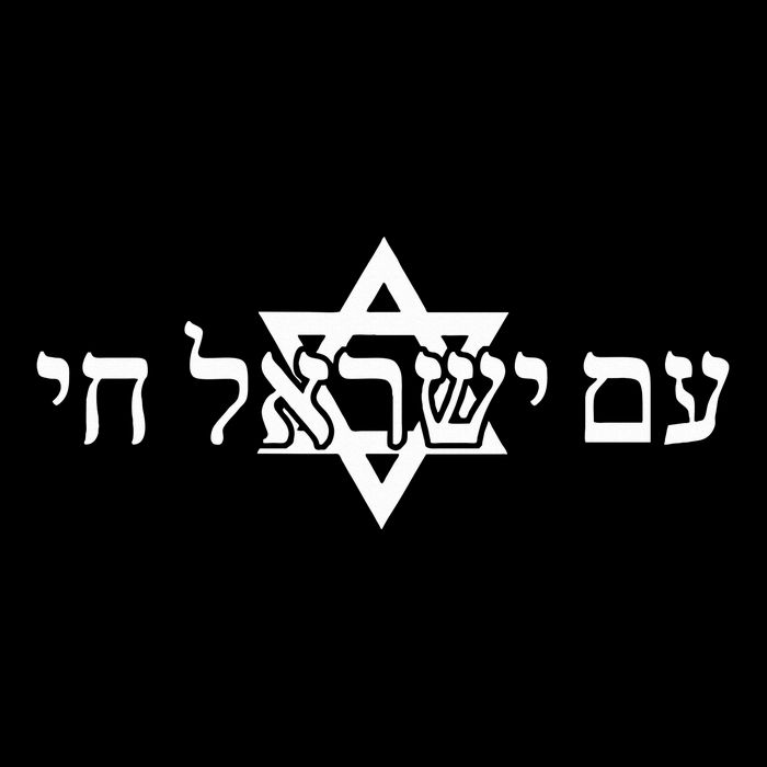 Am Yisrael Chai Star of David us flag 7-Panel Snapback Hat