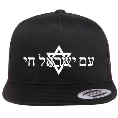 Am Yisrael Chai Star of David us flag Flatbill Hat