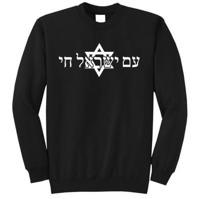 Am Yisrael Chai Star of David us flag Tall Sweatshirt