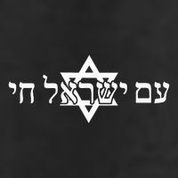 Am Yisrael Chai Star of David us flag Microfiber Hand Towel