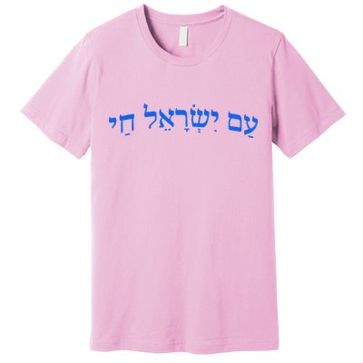 Am Yisrael Chai Jewish Pride Israel Star Of David Premium T-Shirt
