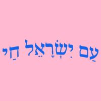 Am Yisrael Chai Jewish Pride Israel Star Of David Baby Bodysuit