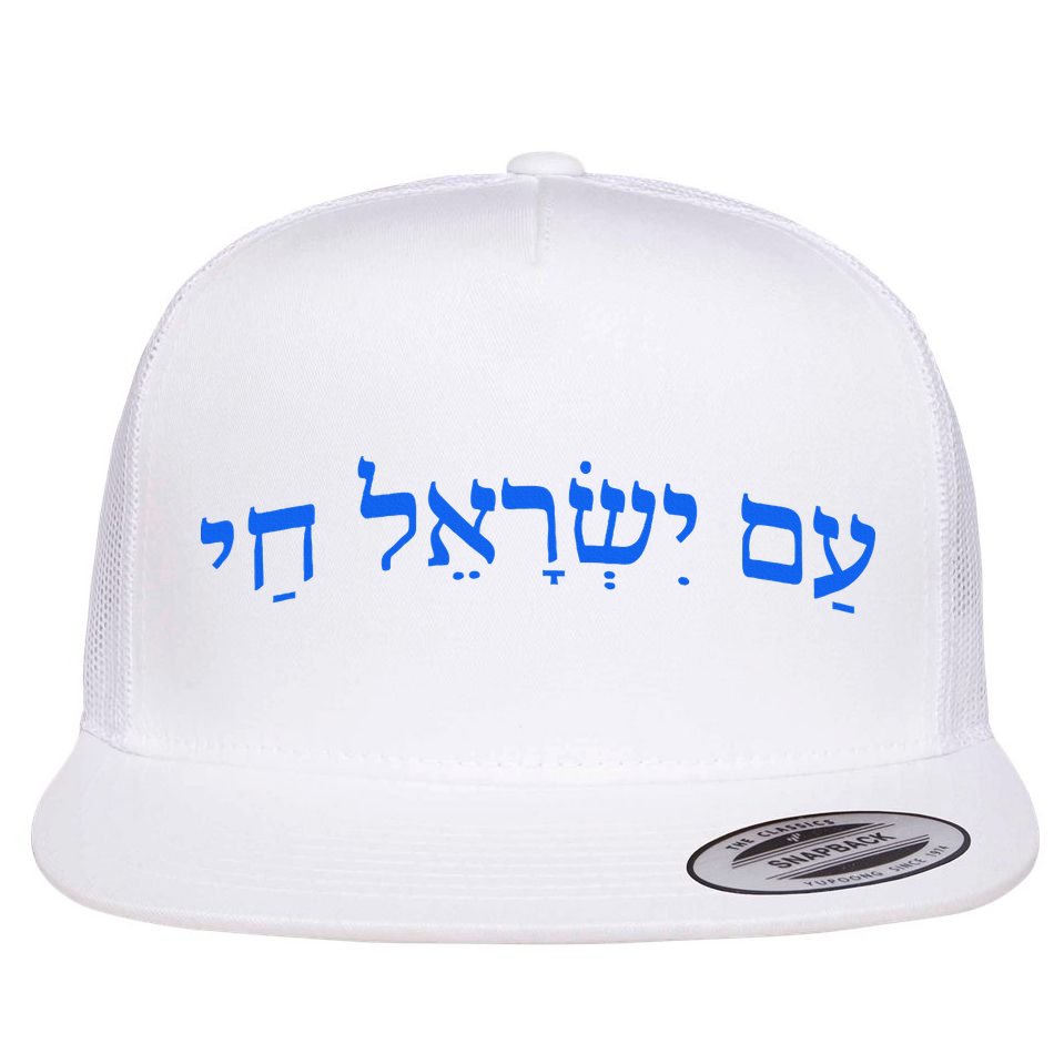Am Yisrael Chai Jewish Pride Israel Star Of David Flat Bill Trucker Hat