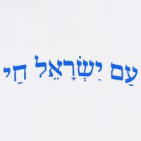 Am Yisrael Chai Jewish Pride Israel Star Of David Flat Bill Trucker Hat