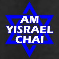 Am Yisrael Chai Israel Star Of David Adult Drive Performance Visor