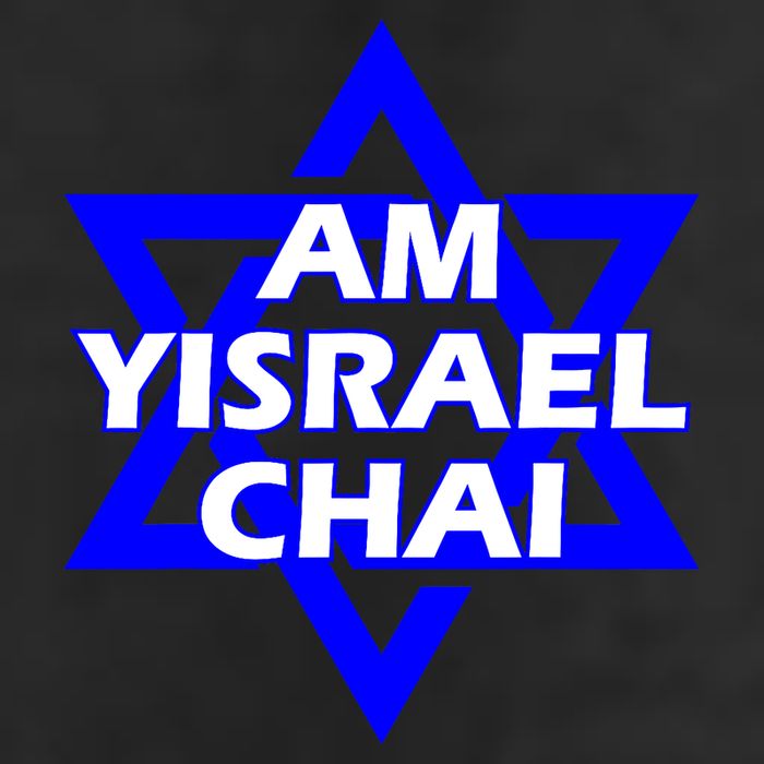 Am Yisrael Chai Israel Star Of David 11oz C Handle Ceramic Mug