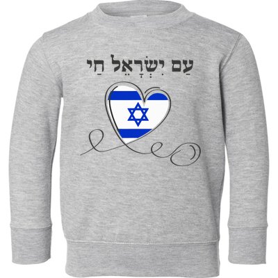 Am Yisrael Chai Israel Star of David Toddler Sweatshirt