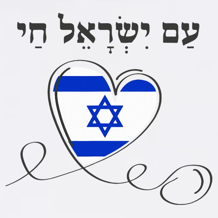 Am Yisrael Chai Israel Star of David Wool Snapback Cap