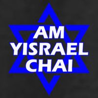 Am Yisrael Chai Israel Star of David 7 Panel Mesh Trucker Snapback Hat