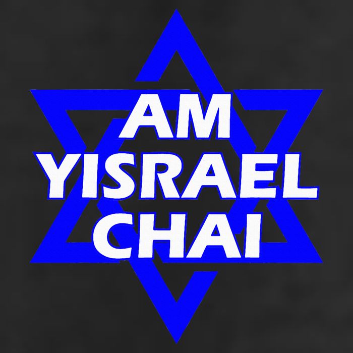Am Yisrael Chai Israel Star of David 7 Panel Mesh Trucker Snapback Hat