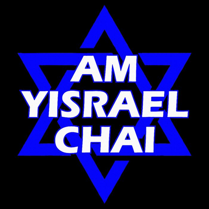 Am Yisrael Chai Israel Star of David Flat Bill Trucker Hat