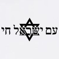 Am Yisrael Chai Star of David support Garment-Dyed Sweatshirt