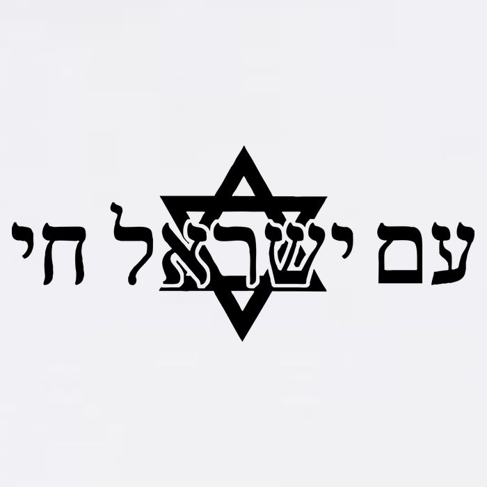 Am Yisrael Chai Star of David support Garment-Dyed Sweatshirt
