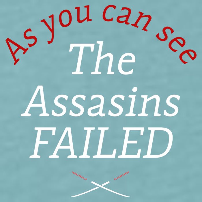 As You Can See The Assassins Failed Sueded Cloud Jersey T-Shirt