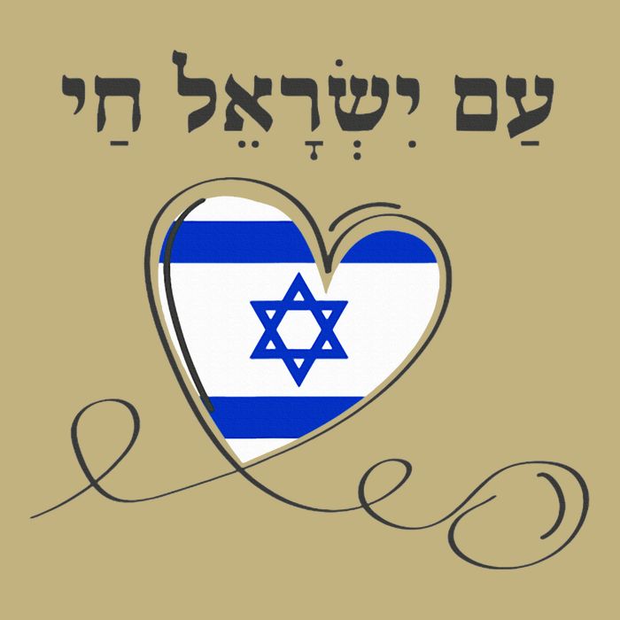 Am Yisrael Chai Israel Star of David Cooling Performance Crew T-Shirt