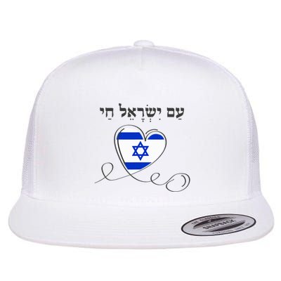 Am Yisrael Chai Israel Star of David Flatbill Hat