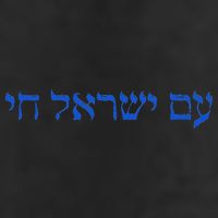 Am Yisrael Chai I Support Israel The People Of Israel Live Garment-Dyed Heavyweight T-Shirt