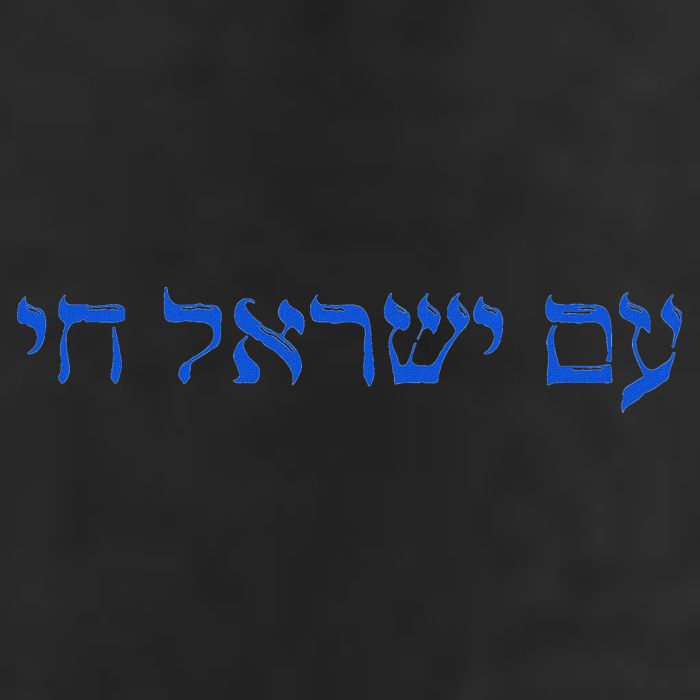 Am Yisrael Chai I Support Israel The People Of Israel Live Garment-Dyed Heavyweight T-Shirt