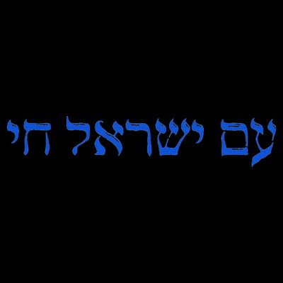 Am Yisrael Chai I Support Israel The People Of Israel Live T-Shirt