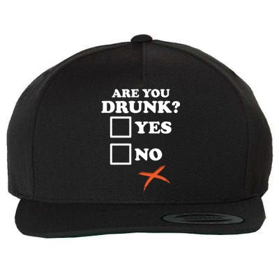 Are You Drunk Lazy Diy Halloween Costume Funny Ing Beer Great Gift Wool Snapback Cap