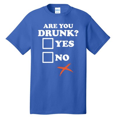 Are You Drunk Lazy Diy Halloween Costume Funny Ing Beer Great Gift Tall T-Shirt