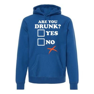 Are You Drunk Lazy Diy Halloween Costume Funny Ing Beer Great Gift Premium Hoodie