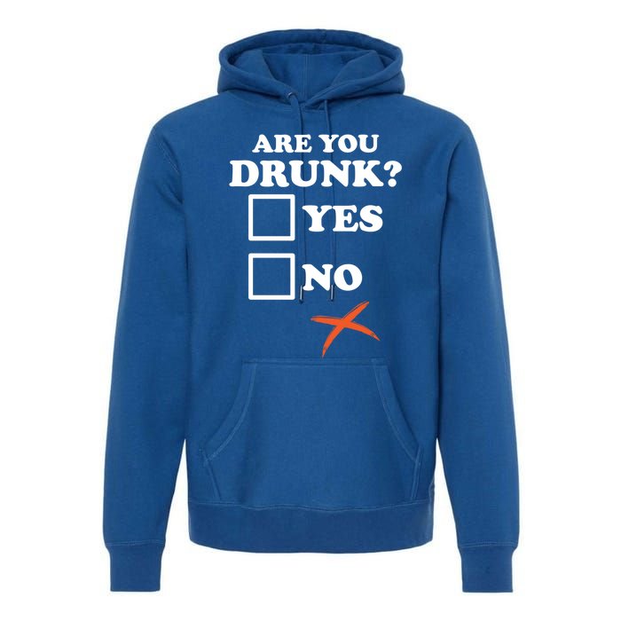 Are You Drunk Lazy Diy Halloween Costume Funny Ing Beer Great Gift Premium Hoodie