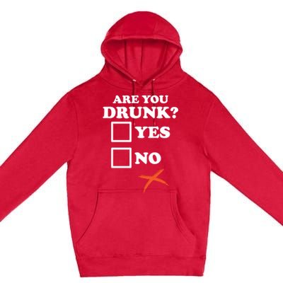 Are You Drunk Lazy Diy Halloween Costume Funny Ing Beer Great Gift Premium Pullover Hoodie