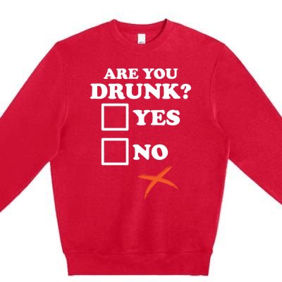 Are You Drunk Lazy Diy Halloween Costume Funny Ing Beer Great Gift Premium Crewneck Sweatshirt