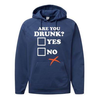 Are You Drunk Lazy Diy Halloween Costume Funny Ing Beer Great Gift Performance Fleece Hoodie