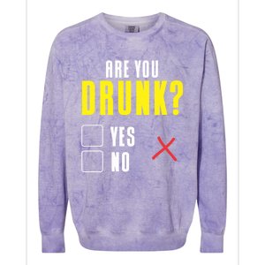 Are You Drunk No Yes Bar Party Pub Alcohol Cute Gift Colorblast Crewneck Sweatshirt