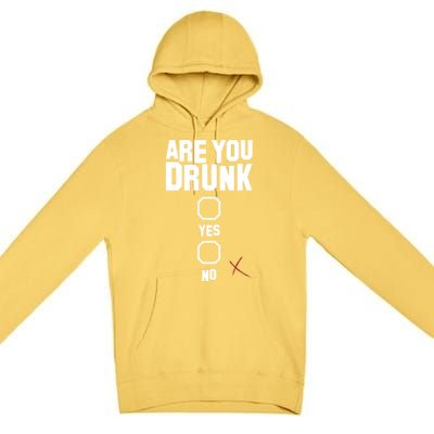 Are You Drunk Meaningful Gift Premium Pullover Hoodie