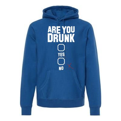 Are You Drunk Meaningful Gift Premium Hoodie