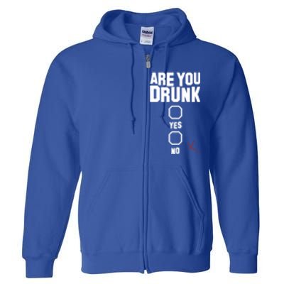 Are You Drunk Meaningful Gift Full Zip Hoodie