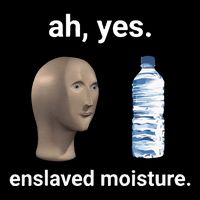 Ah Yes Enslaved Moisture Funny Dank Meme Flexfit Unipanel Trucker Cap