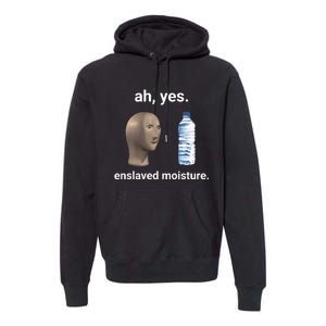 Ah Yes Enslaved Moisture Funny Dank Meme Premium Hoodie