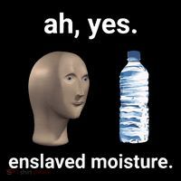 Ah Yes Enslaved Moisture Funny Dank Meme Short Acrylic Beanie
