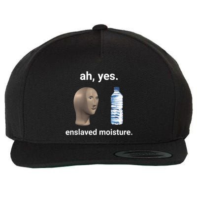 Ah Yes Enslaved Moisture Funny Dank Meme Wool Snapback Cap
