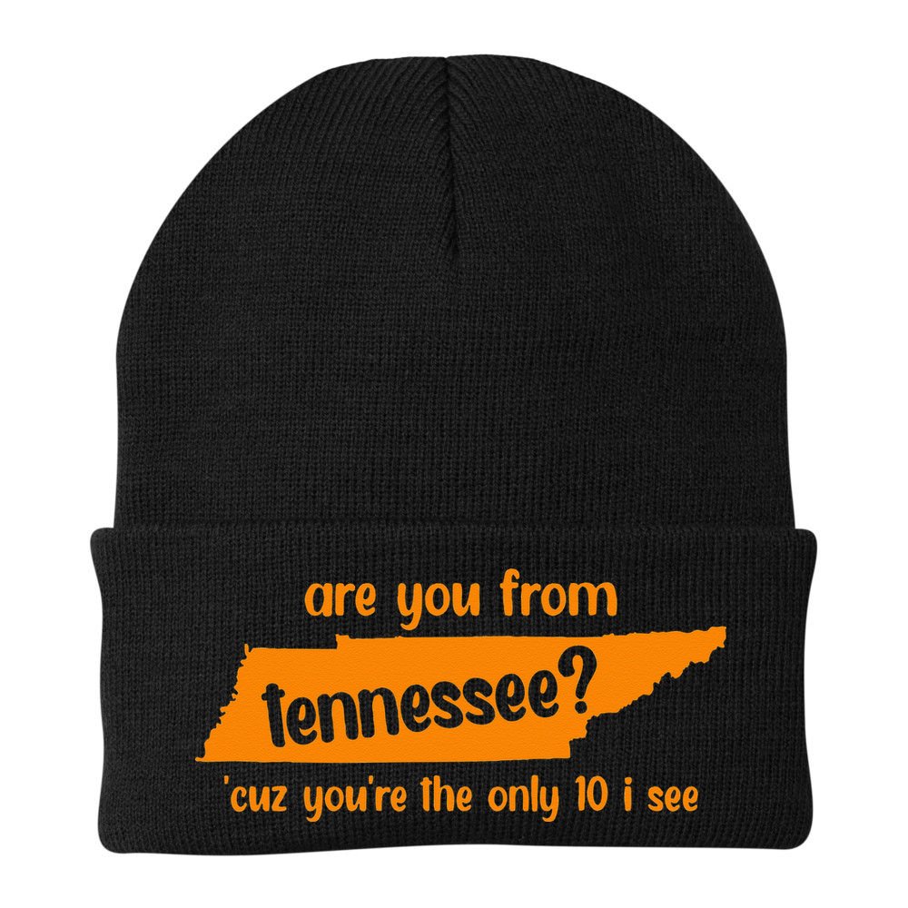 Are You From Tennessee Because Youre The Only Ten I See Beanie