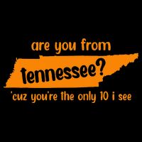 Are You From Tennessee Because Youre The Only Ten I See Womens Tank Top