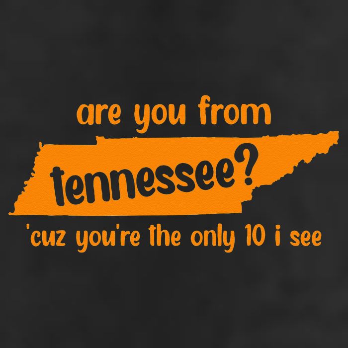 Are You From Tennessee Because Youre The Only Ten I See Hat