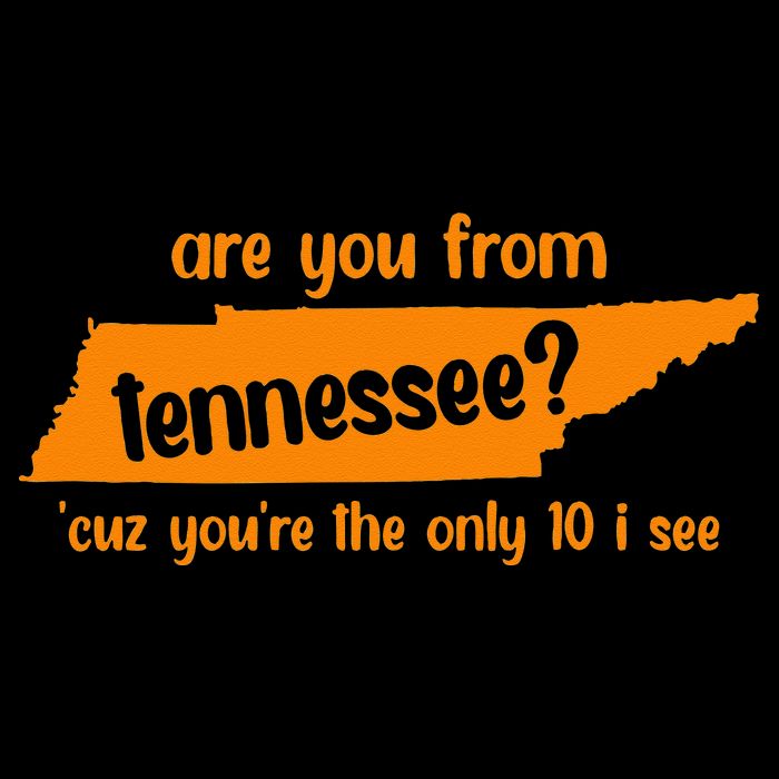 Are You From Tennessee Because Youre The Only Ten I See Women's V-Neck T-Shirt