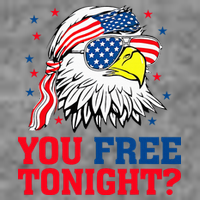 Are You Free Tonight 4th Of July Independence Day Bald Eagle 7-Panel Snapback Hat