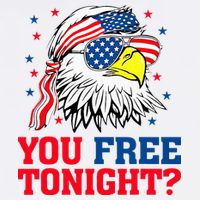 Are You Free Tonight 4th Of July Independence Day Bald Eagle Wool Snapback Cap