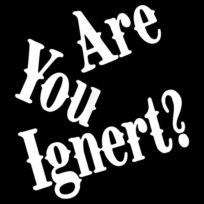 Are You Ignert Funny Humor Saying Sarcastic Jokes Long Sleeve Shirt