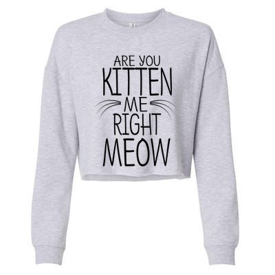 Are You Kitten Me Right Meow Funny Cat Joke Meaningful Gift Cropped Pullover Crew