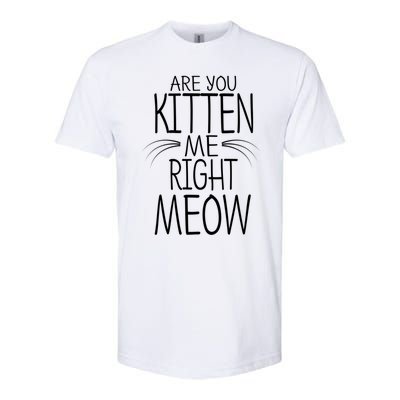 Are You Kitten Me Right Meow Funny Cat Joke Meaningful Gift Softstyle® CVC T-Shirt